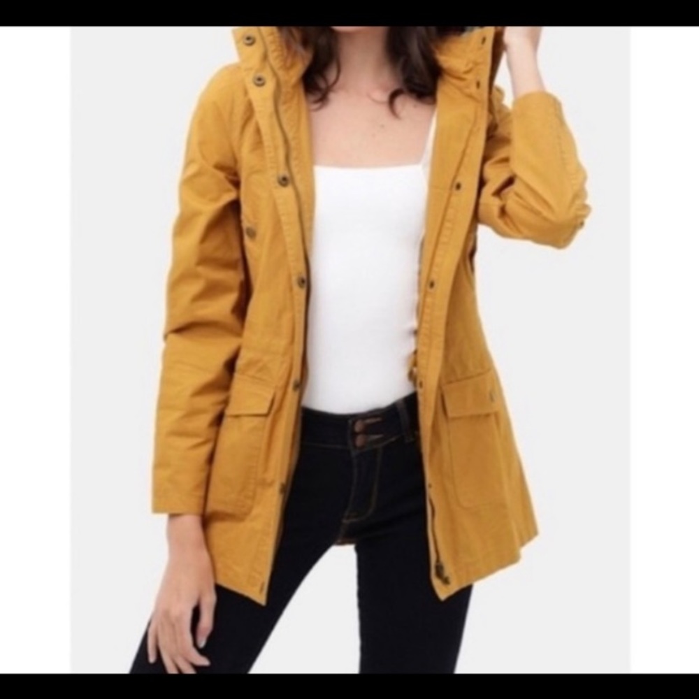 Yellow jacket